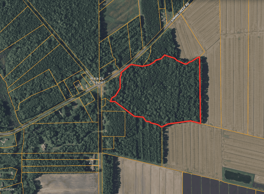 30 Acres Timberland for Sale Near Aurora, NC